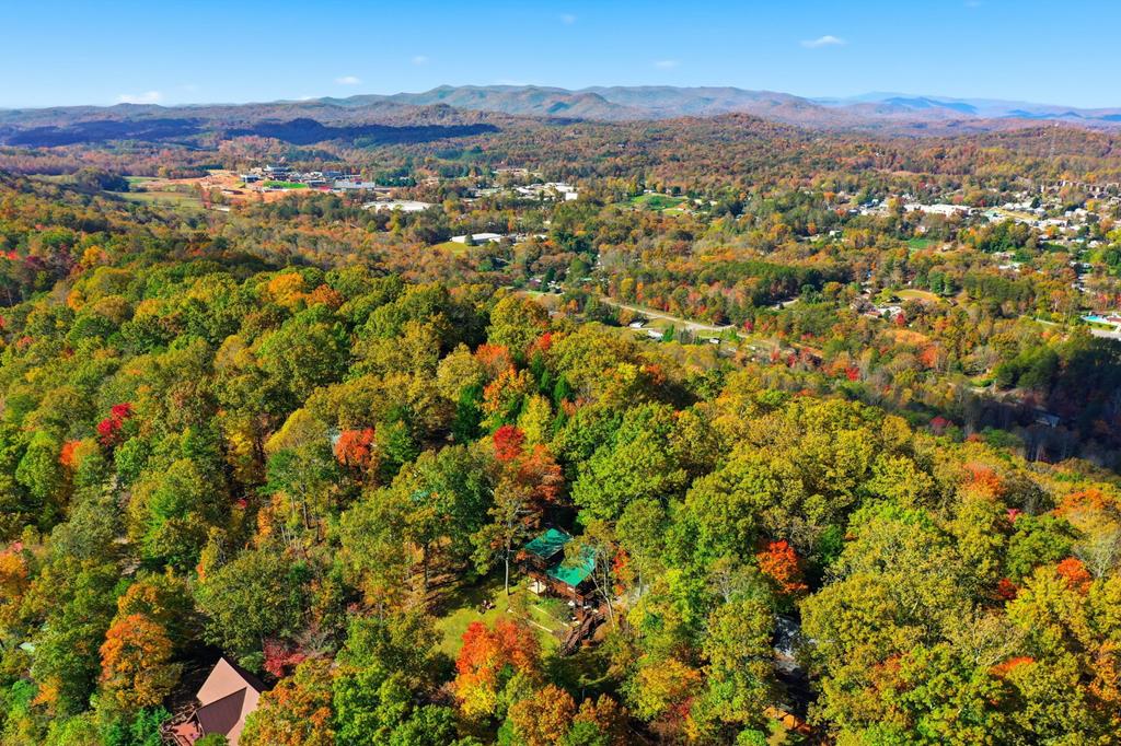 392 Eagles Nest Mountain Road Blue Ridge, GA 30513 - Photo 50 of 51 Gallery Image 50