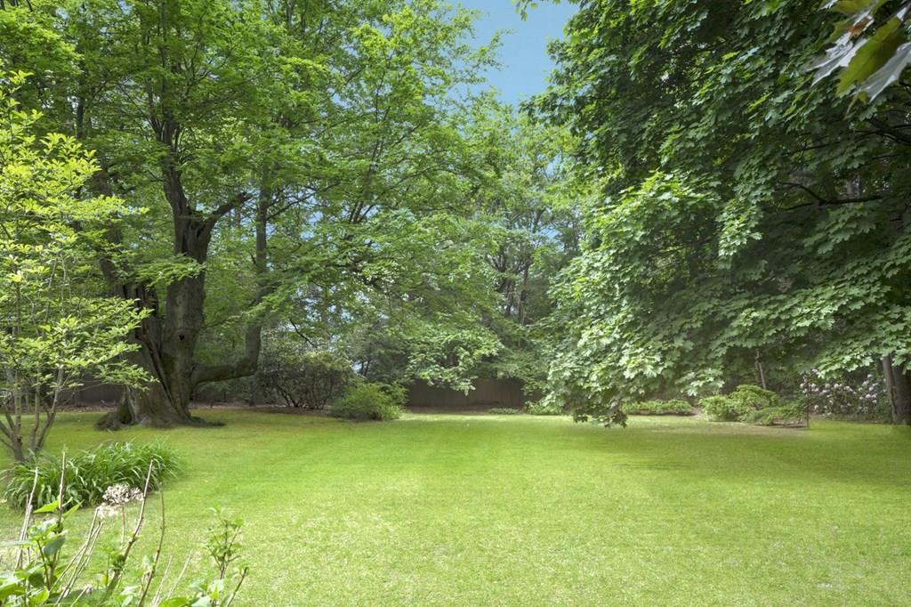 39 Clyde Street Brookline, MA 02467 - Photo 5 of 31