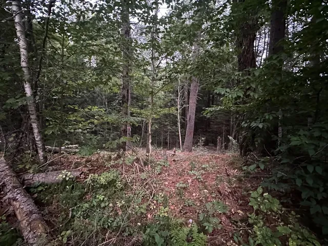 $15,000 | 131 Adams Drive, Washington, NH 03280