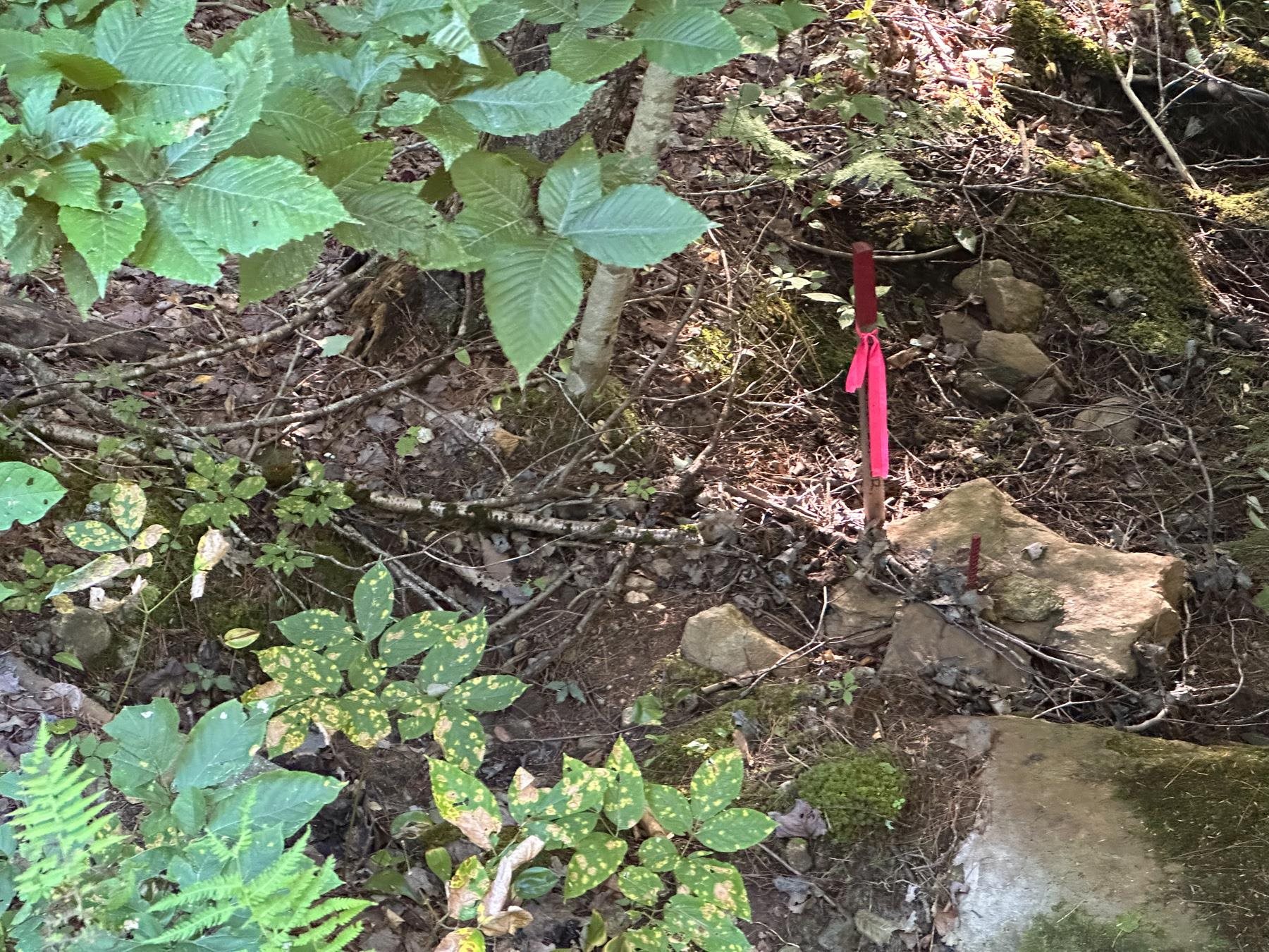 131 Adams Drive Washington, NH 03280 - Photo 11 of 16