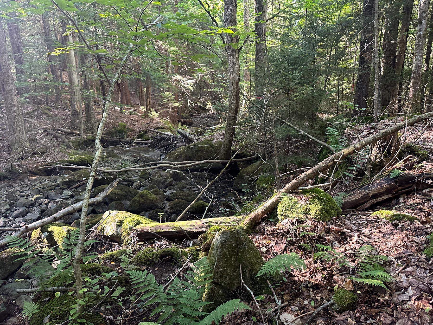 131 Adams Drive Washington, NH 03280 - Photo 12 of 16