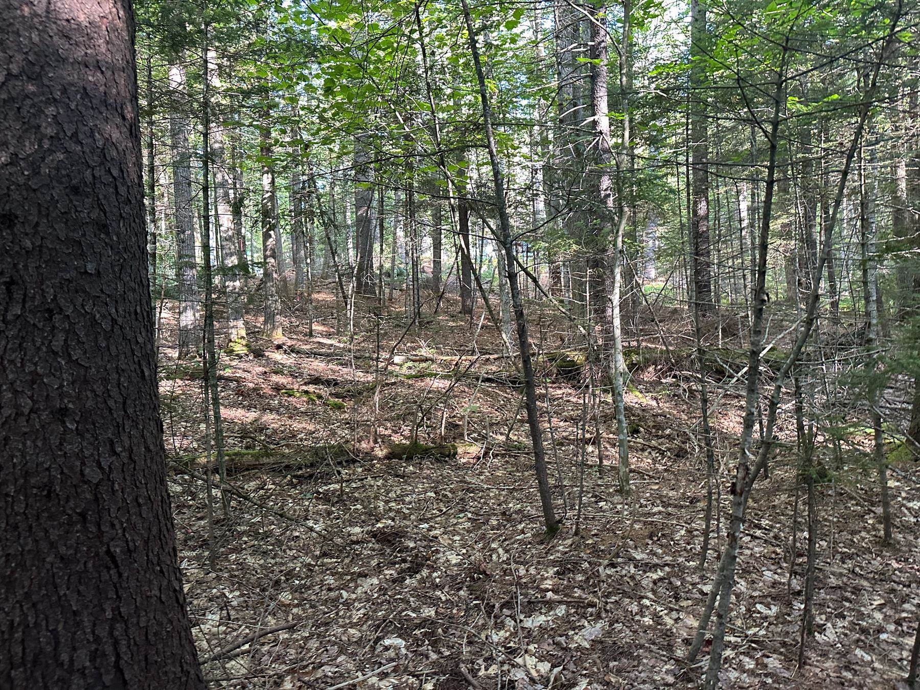 131 Adams Drive Washington, NH 03280 - Photo 14 of 16