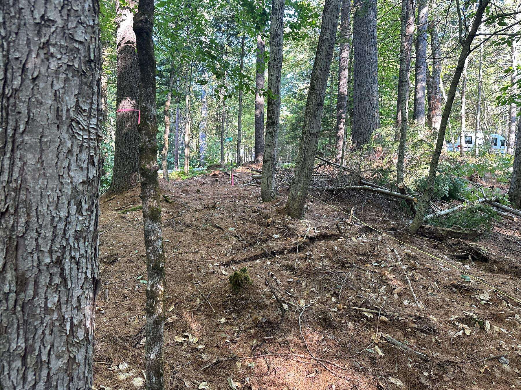 131 Adams Drive Washington, NH 03280 - Photo 16 of 16