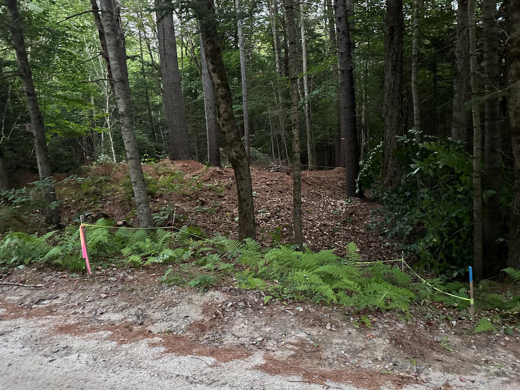 131 Adams Drive Washington, NH 03280 - Photo 2 of 16