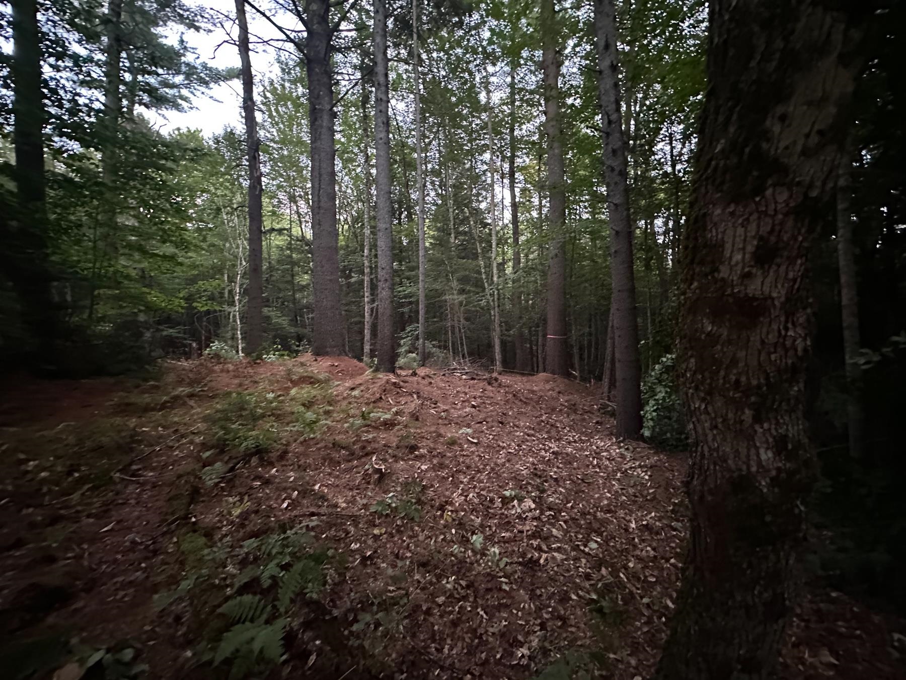 131 Adams Drive Washington, NH 03280 - Photo 3 of 16