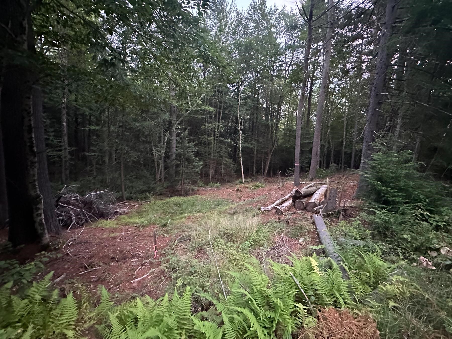 131 Adams Drive Washington, NH 03280 - Photo 5 of 16