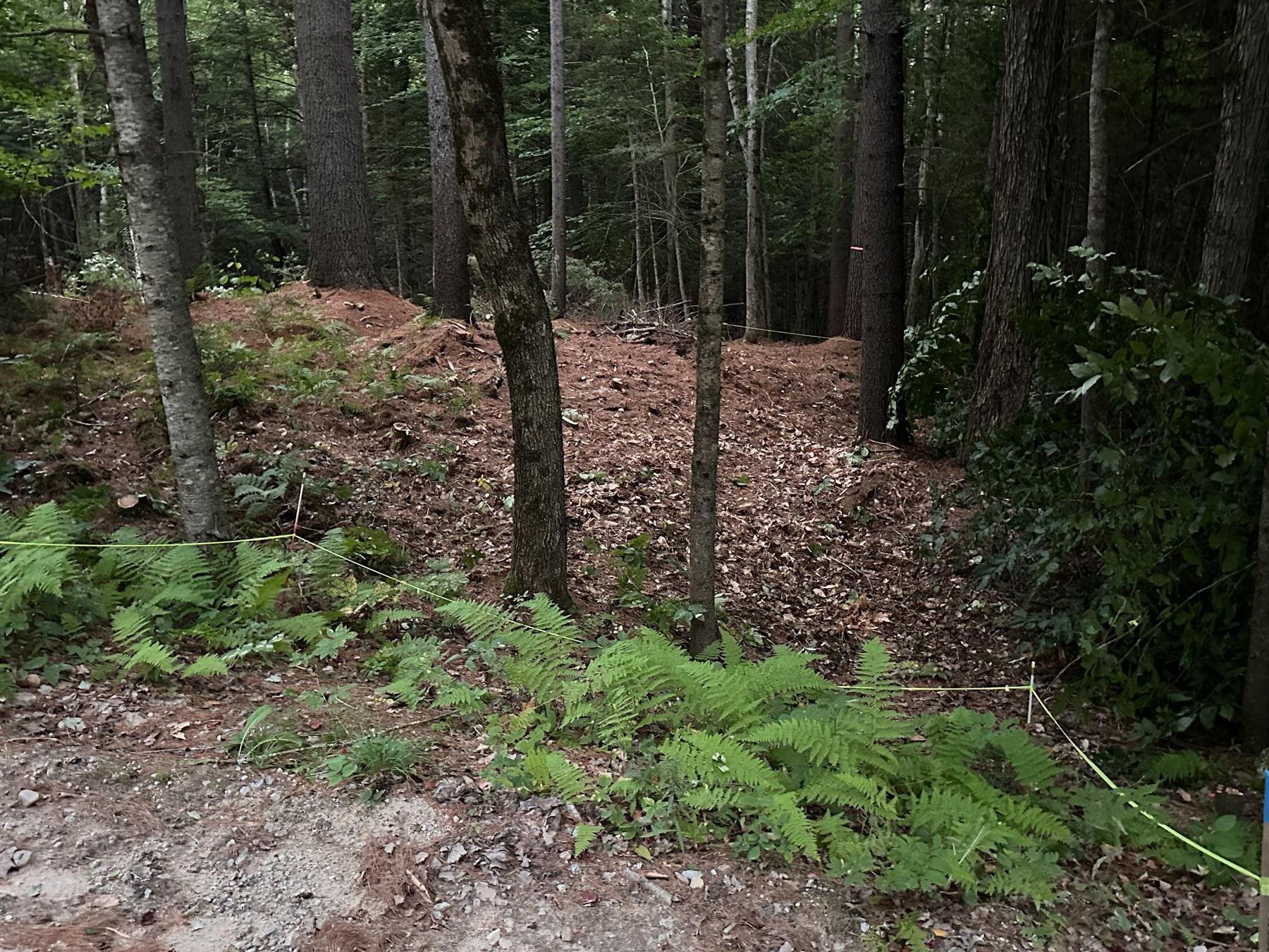 131 Adams Drive Washington, NH 03280 - Photo 8 of 16