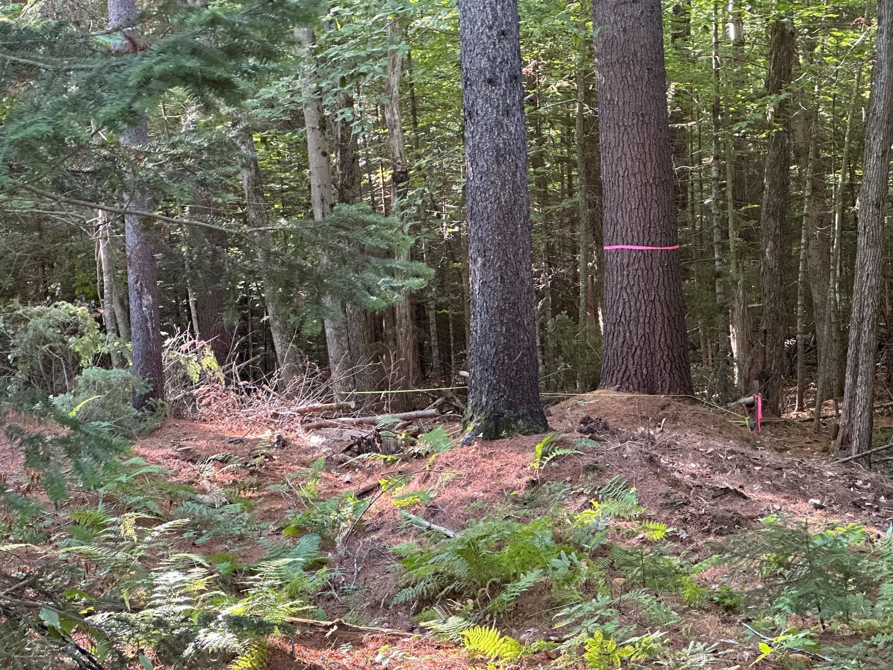 131 Adams Drive Washington, NH 03280 - Photo 10 of 16