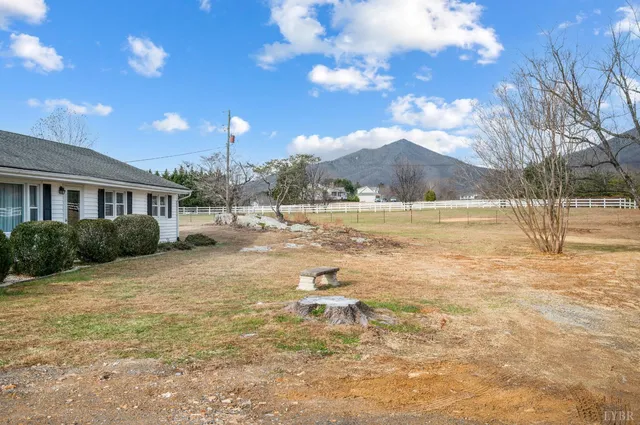 a view of a house with a yard and a large tree