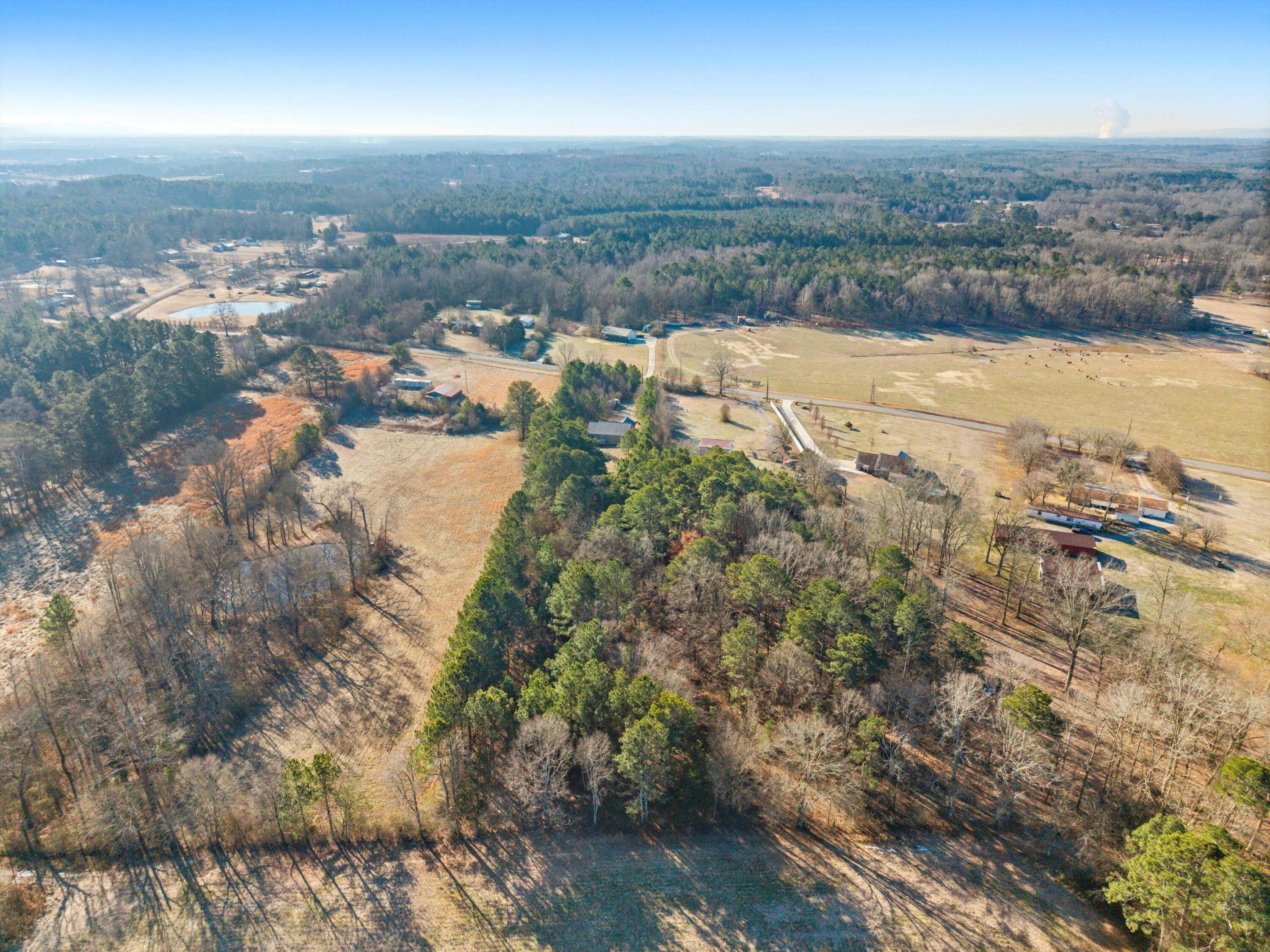 1717 Norton Bridge Road Chatsworth, GA 30705 - Photo 29 of 34 35-DJI_20260127101436_0031_D