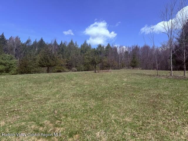 0 Van Etten Road Prattsville, NY 12468 - Photo 21 of 34 IMG_3157