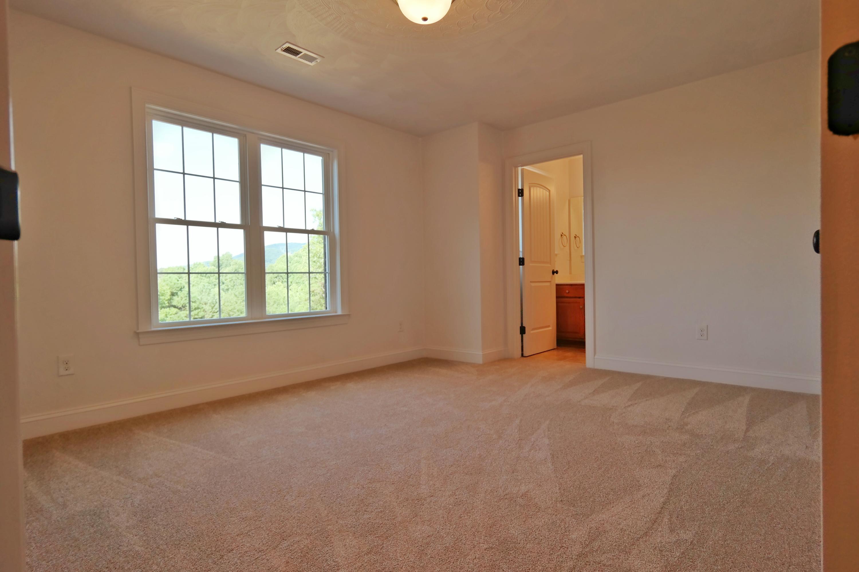 726 Thornblade Way Blue Ridge, VA 24064 - Photo 7 of 27 an empty room with windows and closet