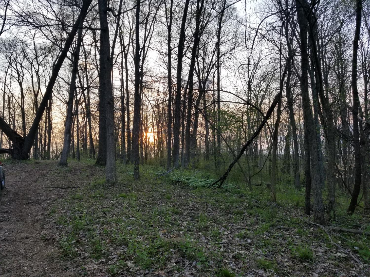 19320 Duck Creek Road Metamora, IN 47030 - Photo 14 of 85