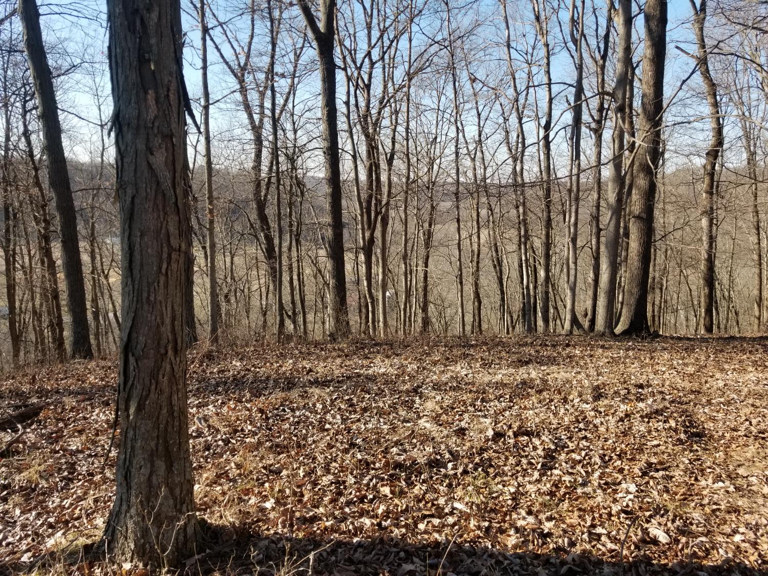 19320 Duck Creek Road Metamora, IN 47030 - Photo 18 of 85