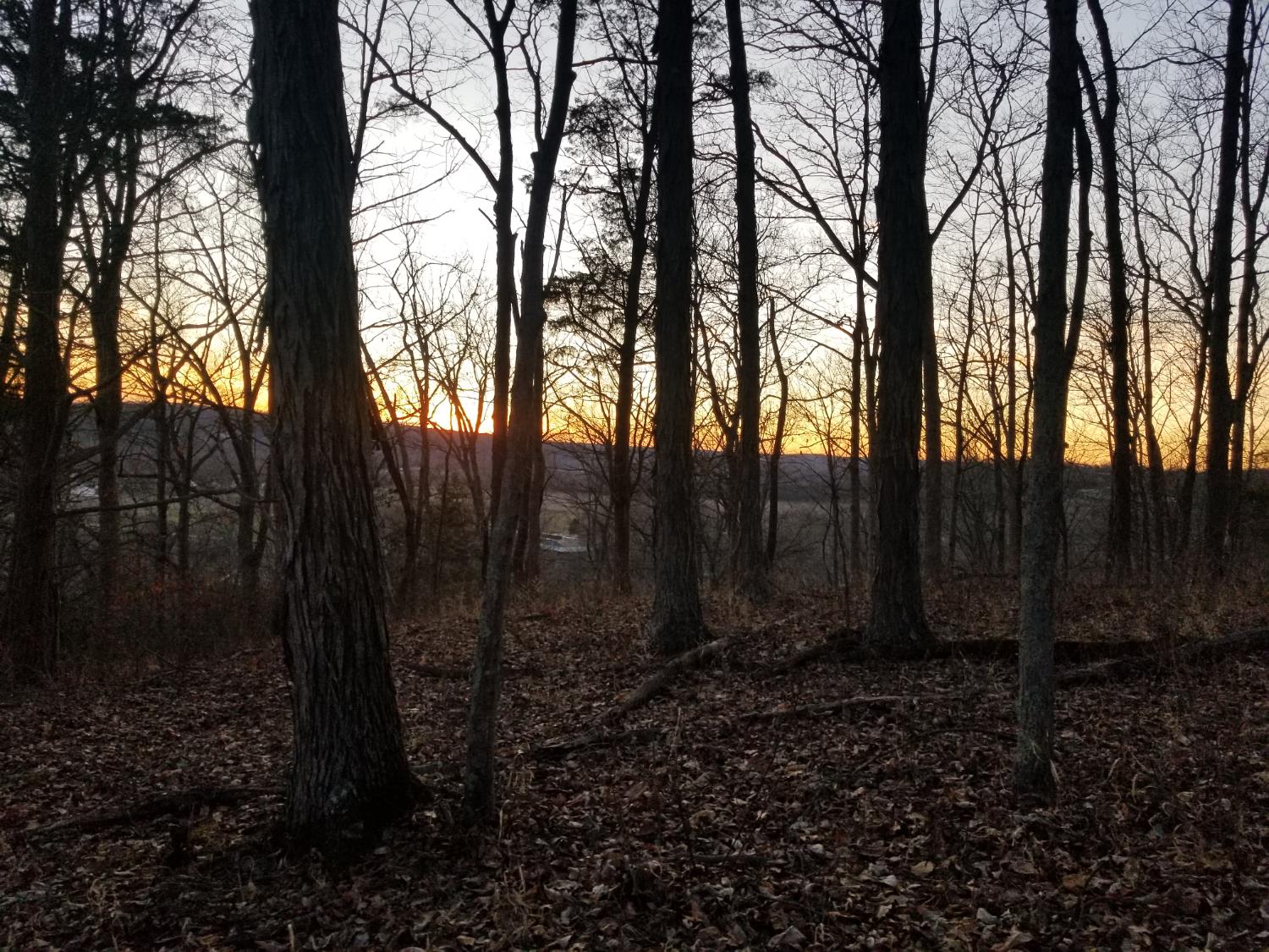 19320 Duck Creek Road Metamora, IN 47030 - Photo 20 of 85