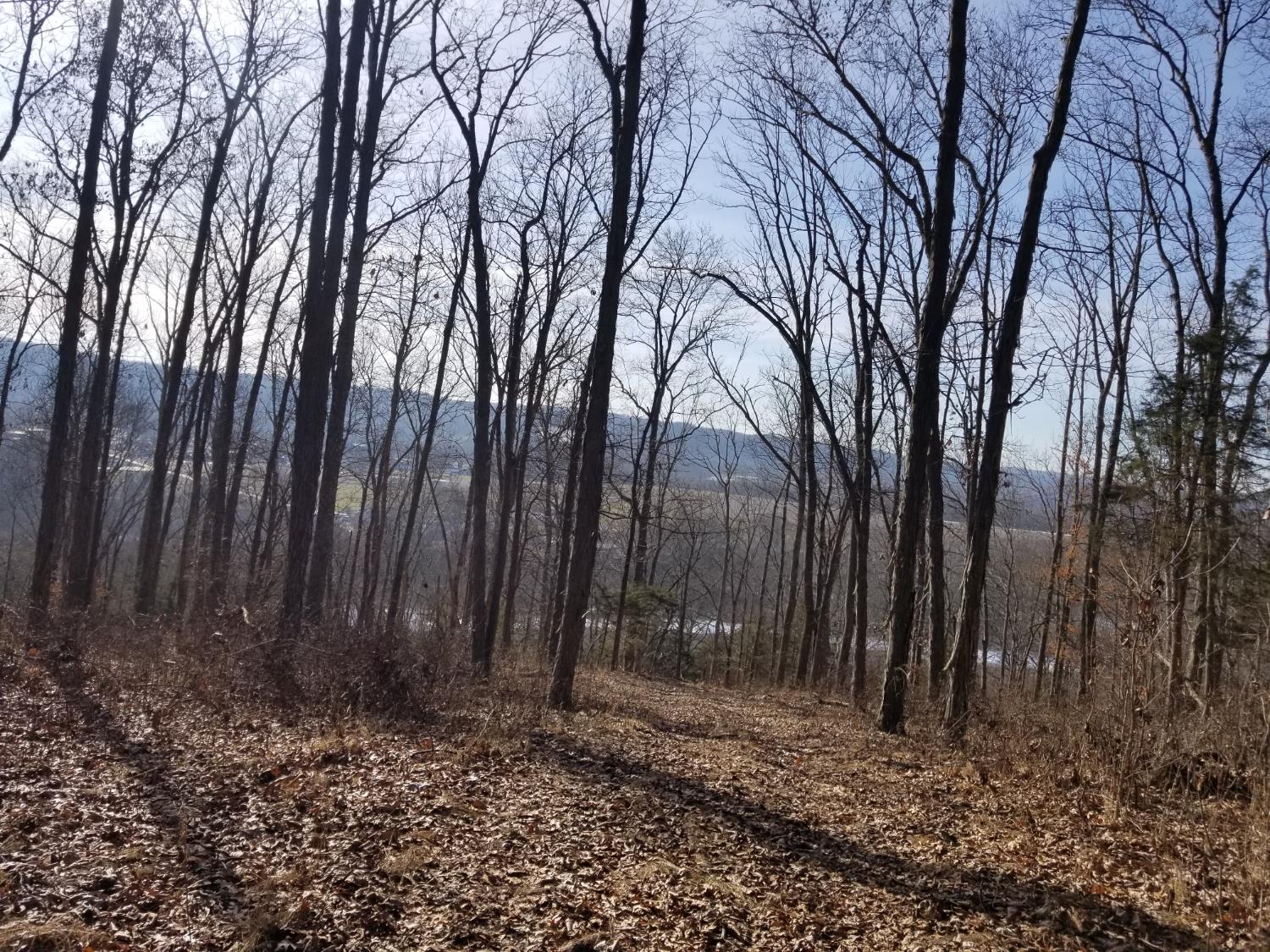 19320 Duck Creek Road Metamora, IN 47030 - Photo 22 of 85
