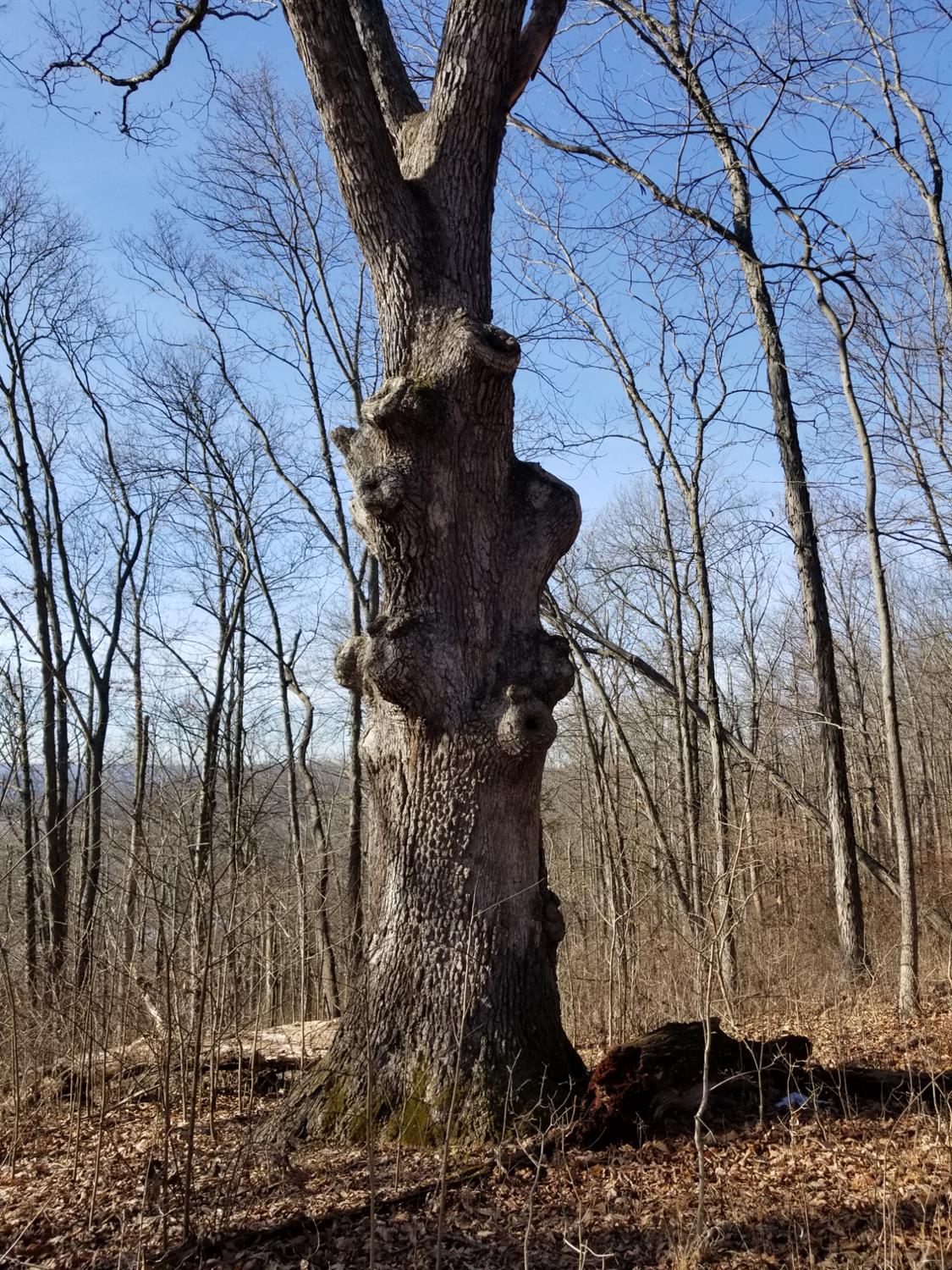 19320 Duck Creek Road Metamora, IN 47030 - Photo 23 of 85