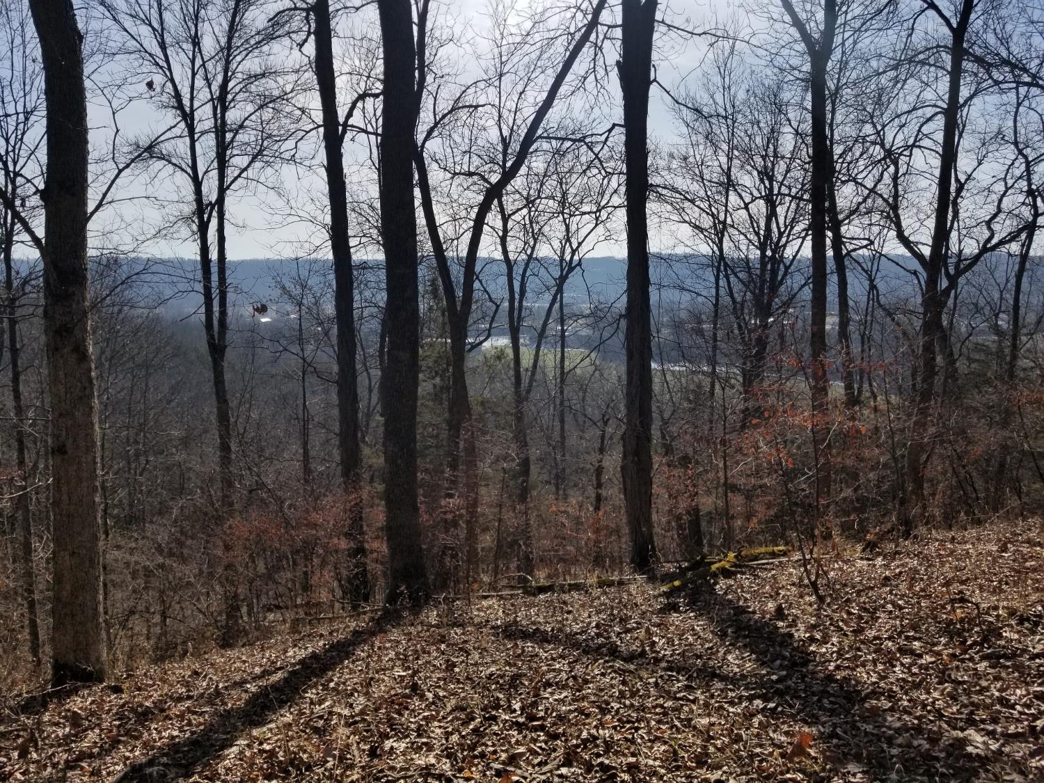 19320 Duck Creek Road Metamora, IN 47030 - Photo 24 of 85