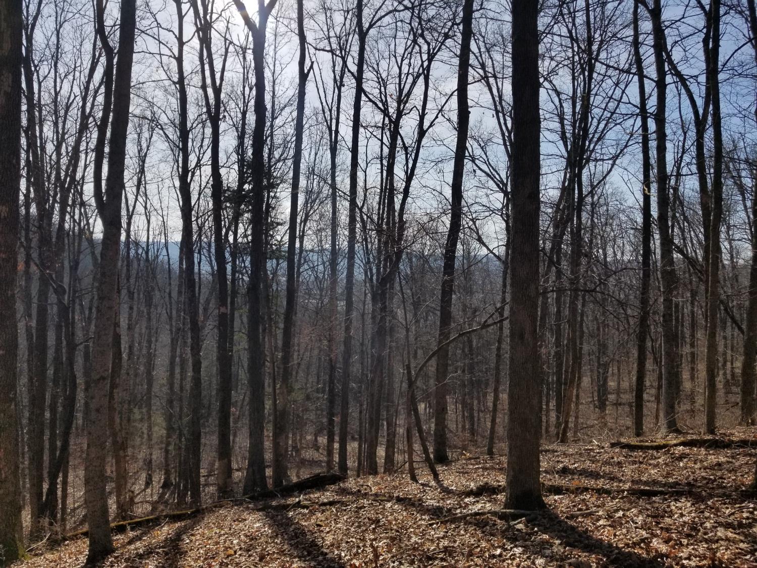 19320 Duck Creek Road Metamora, IN 47030 - Photo 25 of 85