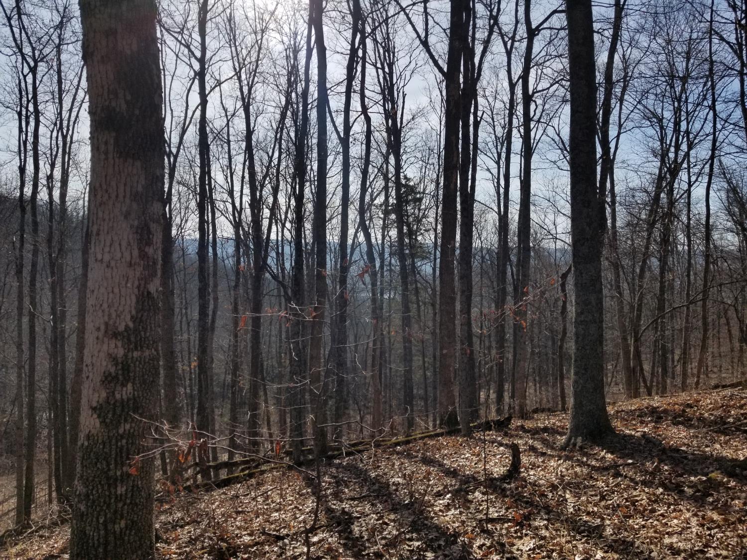 19320 Duck Creek Road Metamora, IN 47030 - Photo 26 of 85