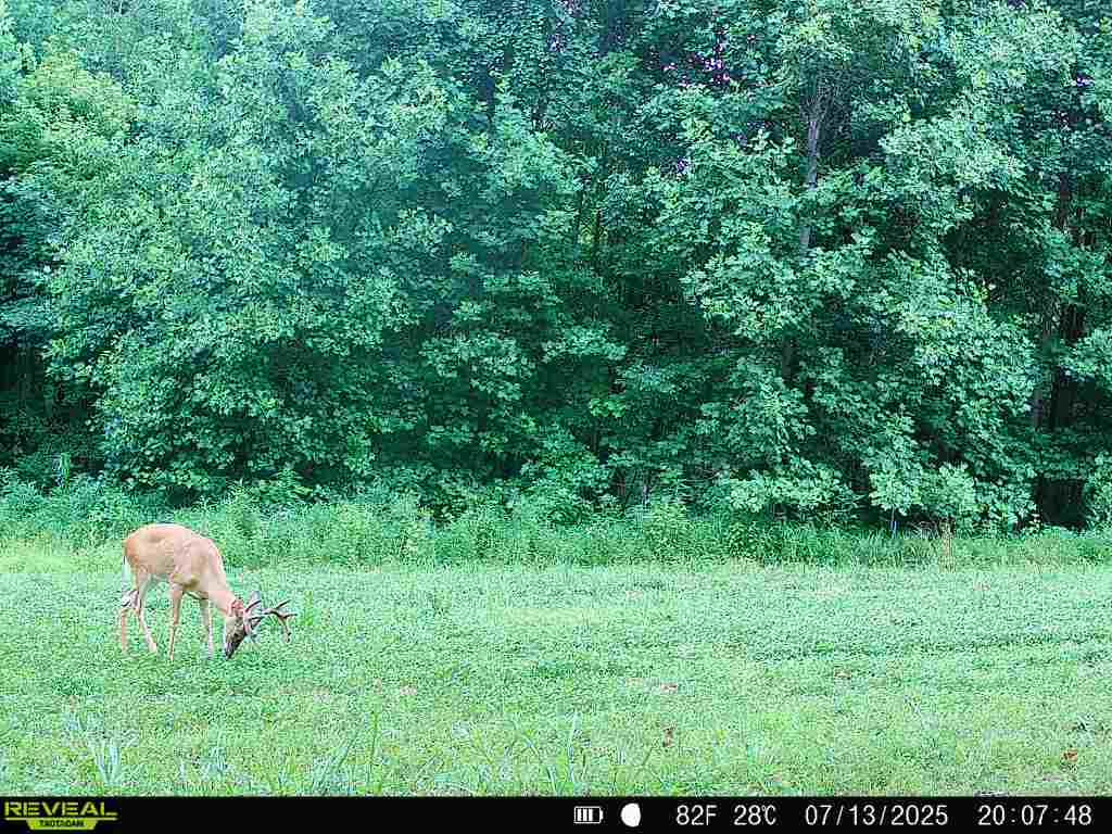 19320 Duck Creek Road Metamora, IN 47030 - Photo 27 of 85