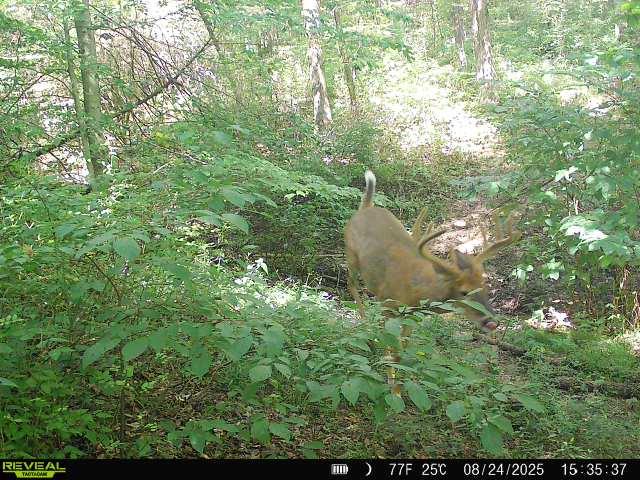19320 Duck Creek Road Metamora, IN 47030 - Photo 28 of 85