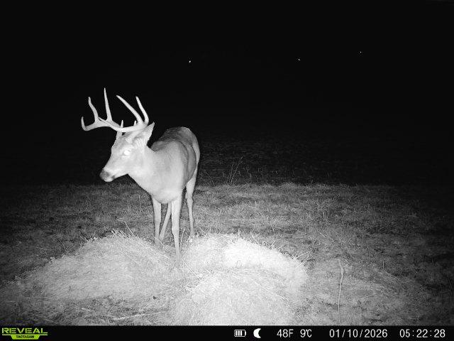 19320 Duck Creek Road Metamora, IN 47030 - Photo 29 of 85