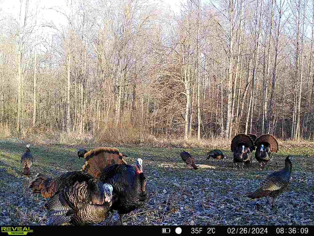 19320 Duck Creek Road Metamora, IN 47030 - Photo 30 of 85
