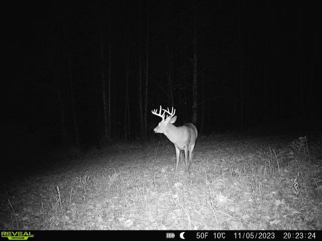 19320 Duck Creek Road Metamora, IN 47030 - Photo 31 of 85