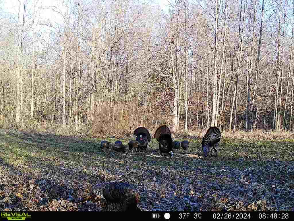 19320 Duck Creek Road Metamora, IN 47030 - Photo 32 of 85