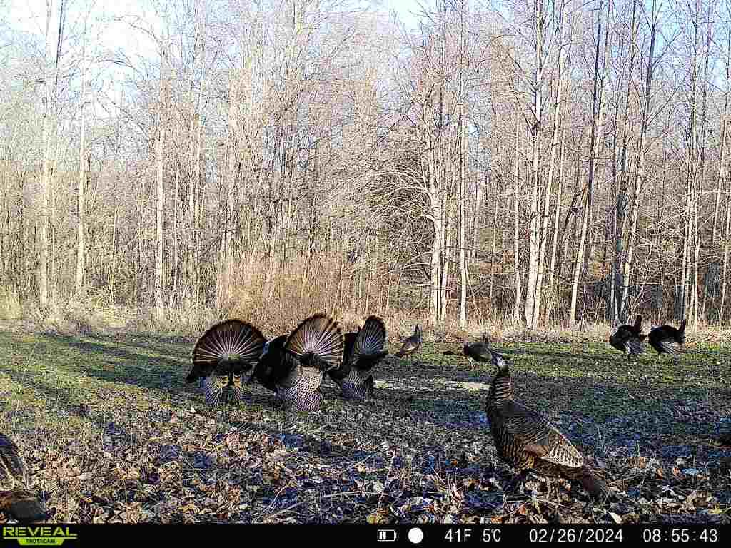 19320 Duck Creek Road Metamora, IN 47030 - Photo 33 of 85