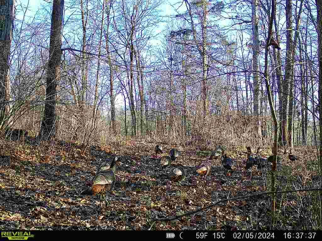 19320 Duck Creek Road Metamora, IN 47030 - Photo 34 of 85