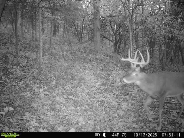 19320 Duck Creek Road Metamora, IN 47030 - Photo 35 of 85