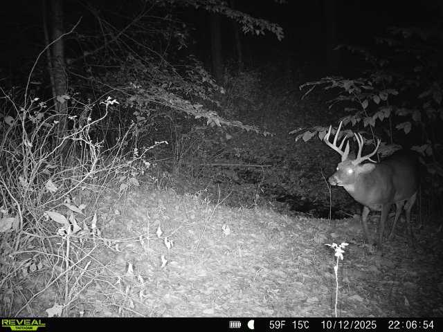 19320 Duck Creek Road Metamora, IN 47030 - Photo 36 of 85