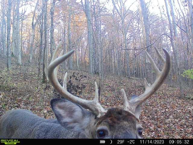 19320 Duck Creek Road Metamora, IN 47030 - Photo 37 of 85
