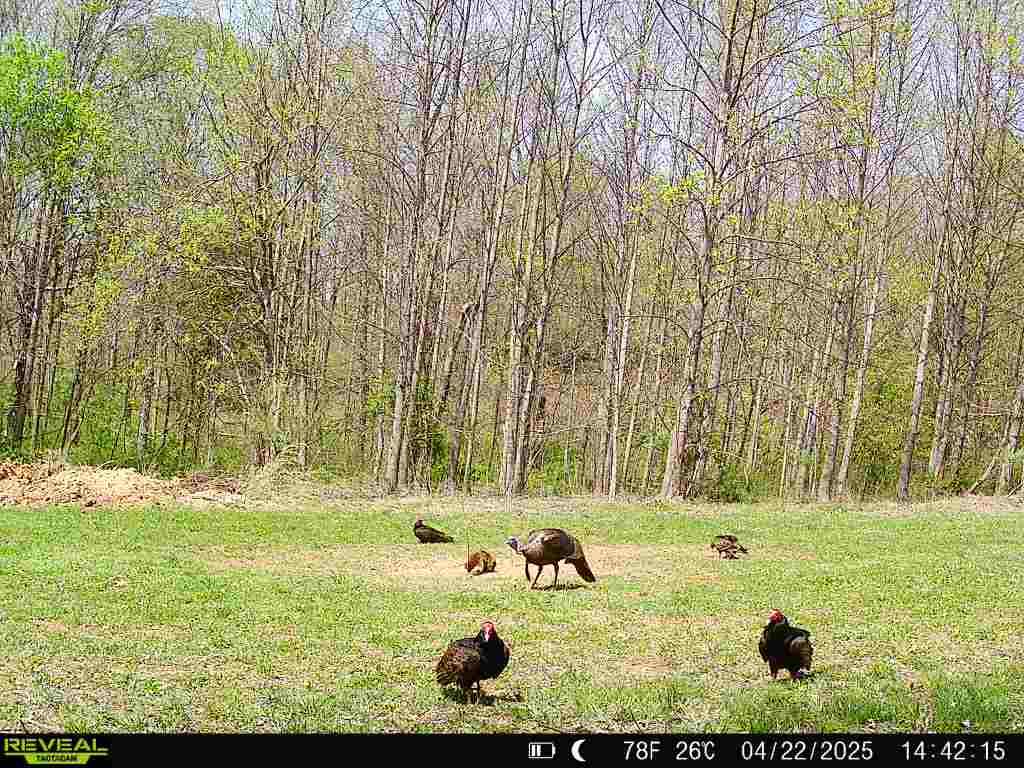 19320 Duck Creek Road Metamora, IN 47030 - Photo 38 of 85