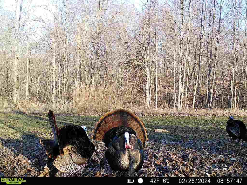 19320 Duck Creek Road Metamora, IN 47030 - Photo 39 of 85