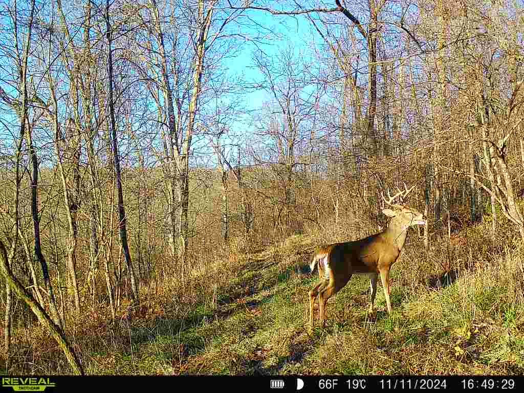 19320 Duck Creek Road Metamora, IN 47030 - Photo 40 of 85