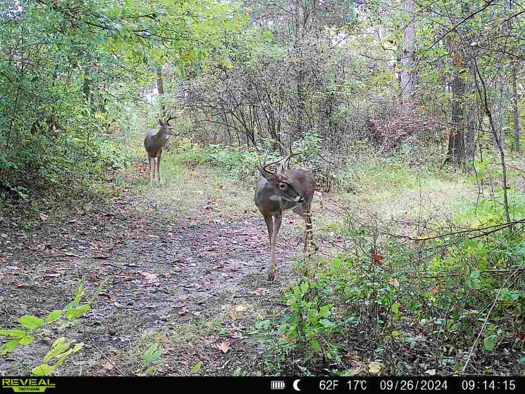 19320 Duck Creek Road Metamora, IN 47030 - Photo 41 of 85