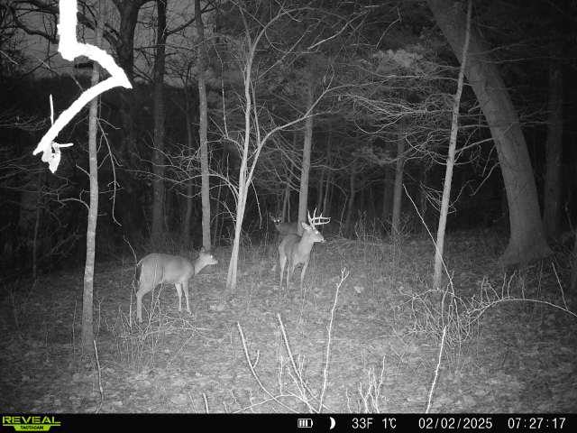 19320 Duck Creek Road Metamora, IN 47030 - Photo 42 of 85