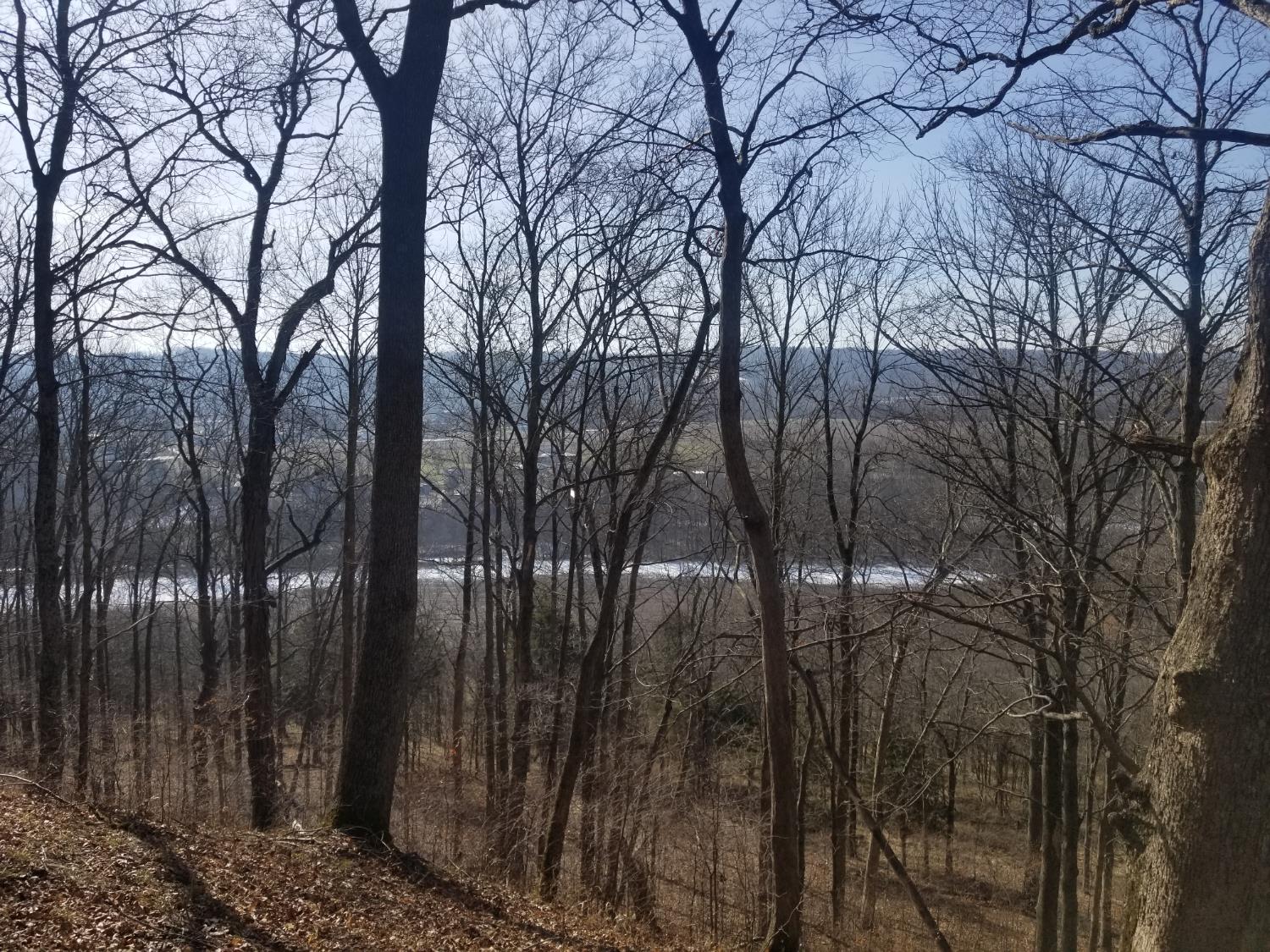 19320 Duck Creek Road Metamora, IN 47030 - Photo 44 of 85