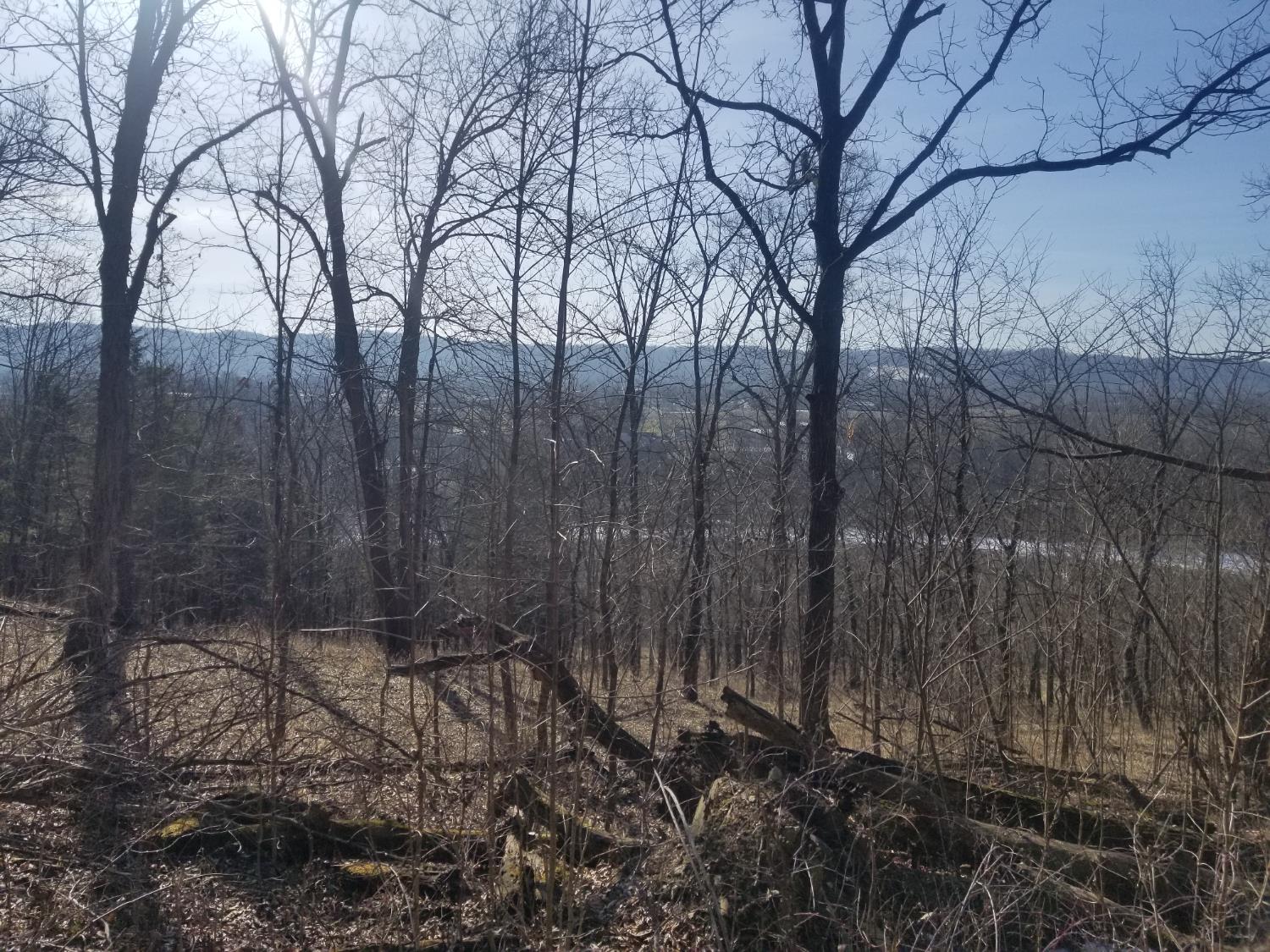 19320 Duck Creek Road Metamora, IN 47030 - Photo 45 of 85