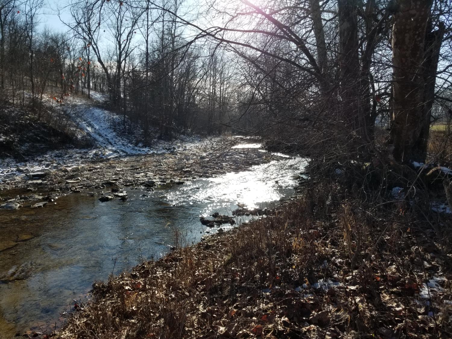 19320 Duck Creek Road Metamora, IN 47030 - Photo 48 of 85