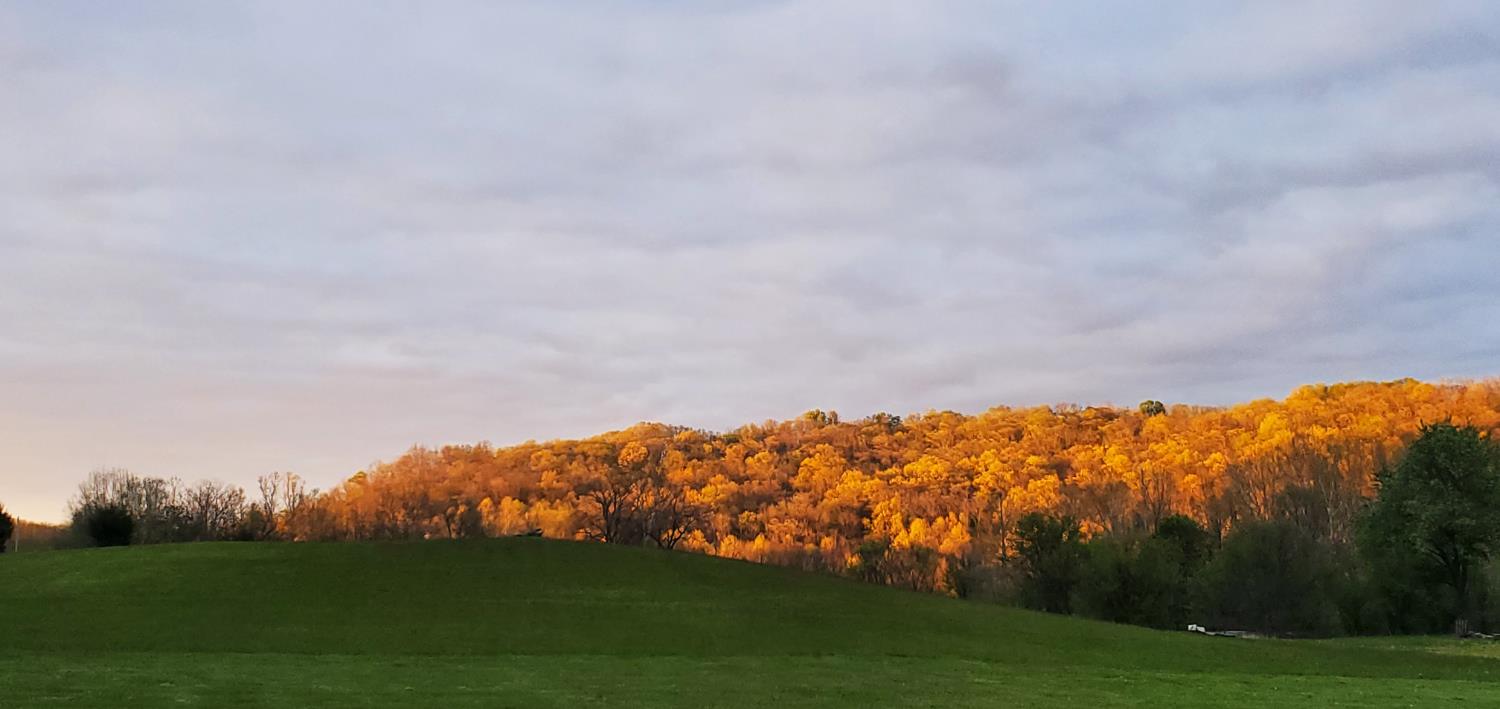 19320 Duck Creek Road Metamora, IN 47030 - Photo 52 of 85