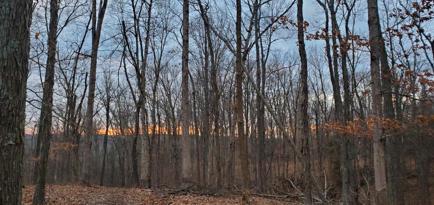 19320 Duck Creek Road Metamora, IN 47030 - Photo 53 of 85