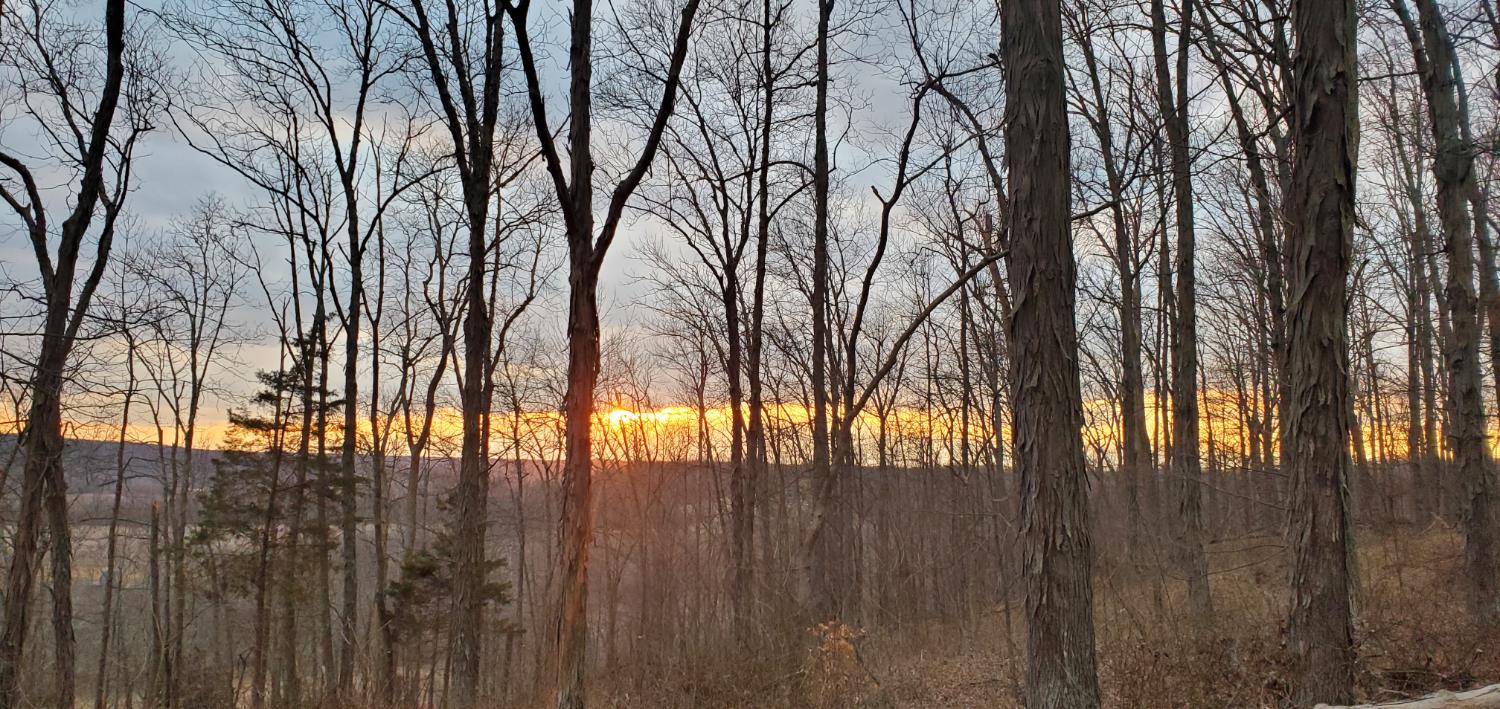 19320 Duck Creek Road Metamora, IN 47030 - Photo 54 of 85