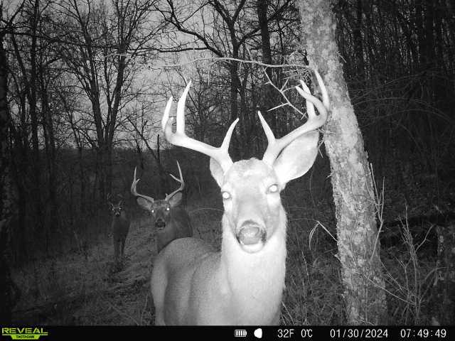 19320 Duck Creek Road Metamora, IN 47030 - Photo 6 of 85