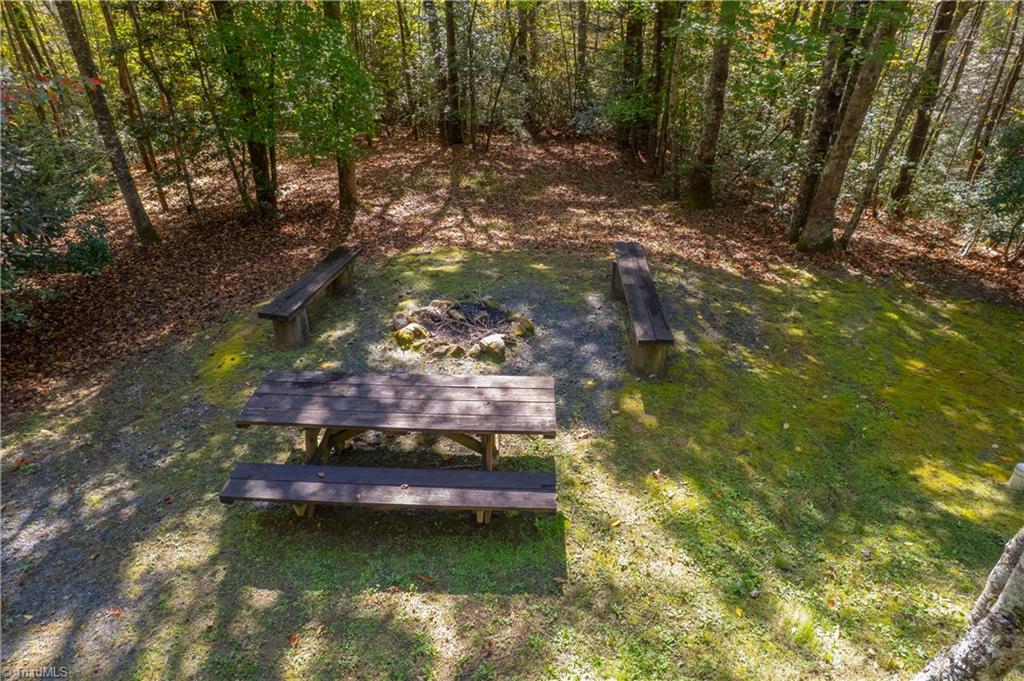 1105 Fall Creek Road Purlear, NC 28665 - Photo 3 of 48