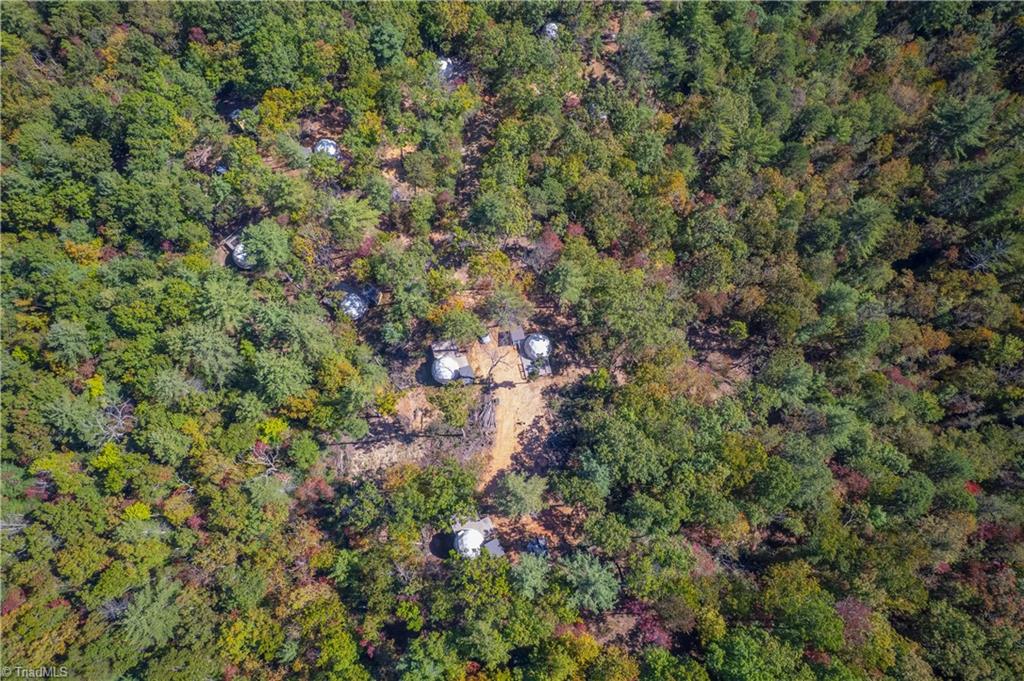 1105 Fall Creek Road Purlear, NC 28665 - Photo 48 of 48