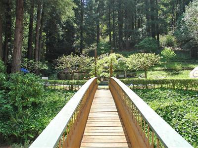 191 Lagunitas Road Ross, CA 94957 - Photo 11 of 11 a view of balcony and yard